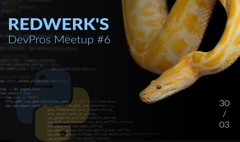 Redwerk’s Dev Meetup Series: Python Day
