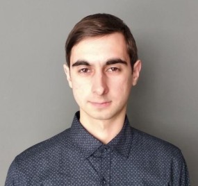 Developer