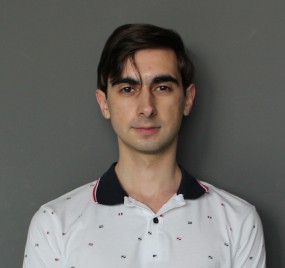 Developer