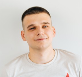 Developer